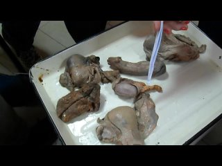 porn мужские и женские половые органы часть 1 hd