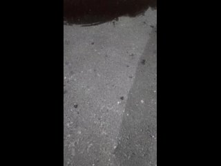 porn 锅盖头探探哥酒店约炮医科大护理系短发气质兼职妹服务不行就会躺着挨屌 vid 20210724 001213 mp4 hd