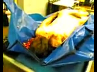 porn жесть что да как в морге такового вы ещё не ивдели нигде жесть это не xxx hd