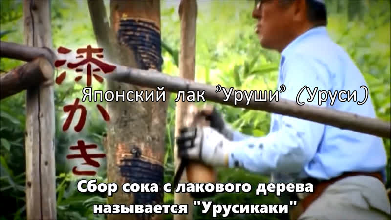 porn японский лак урусиуруши японское ремесло hd