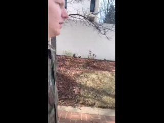 porn американский военный пилот поджог сам себя перед посольством израиля hd