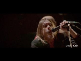 porn iggy pop queen of the stone age post pop depression lust for life ᴴᴰ live at royal albert hall london uk 2016 hd
