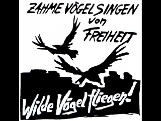 porn dieter lange sieger erkennt man am start verlierer auch hd