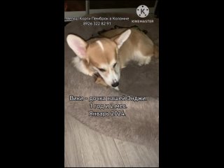 porn вики дочка нашей энджи 18 год и 2 мес январь 2024 mp4 hd