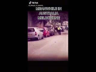 porn очередной герой новой нормальности в австралии пытается заставить человека надеть намордник смешно hd