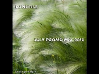 porn dj nettle july promo mix 2010 hd