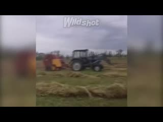 porn смешные приколы на охоте и рыбалке 2019 лучшие приколы 2 hd