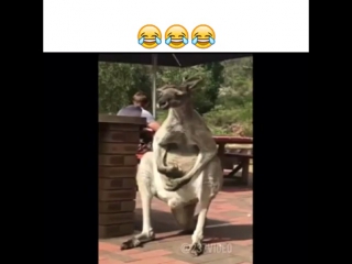 porn иички ля ля ля ля ляяя hd