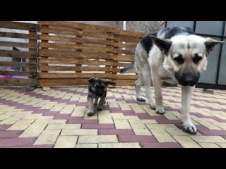 porn фиелисс остер со своей дочуркой теорией заговора hd