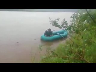 porn я не могу бля нормальный хуй hd