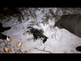 porn челябинск парк гагарина предположительно массовое молодые и секс горячее hd
