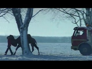 porn эротические истории награда для дрессировщика слонов erotic tales the elephant never forgets hd