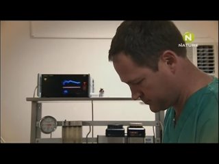 porn when the cheetah diaries s02e03 rus mp3 satrip xvid 2009 hd