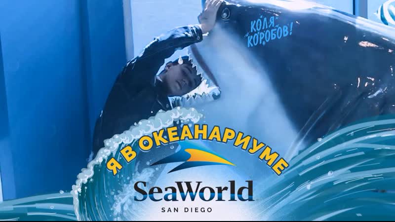 porn я в океанариуме seaworld san diego hd