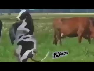 porn я кручу тебя волчком молочко в твоё очко hd
