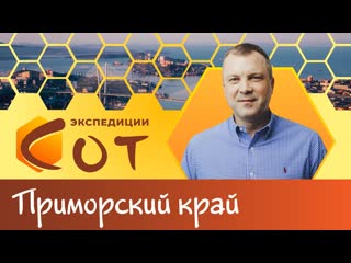 porn как приручить дракона образование приморского края hd