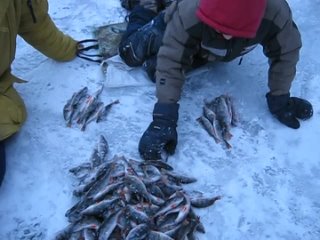 porn зимняя рыбалка 2011 мормышка голая hd