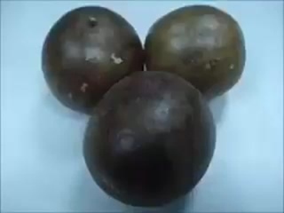 porn vid 20181201 wa0001 mp4 hd