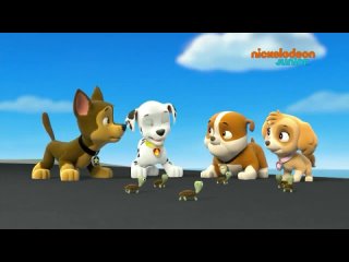 porn paw patrol star ingin air bahasa indonesia hd