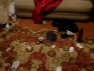 porn привет сашавписка у баги вальштейна hd