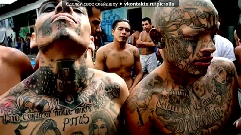 porn под музыку ms 13 la mara salvatrucha picrolla hd