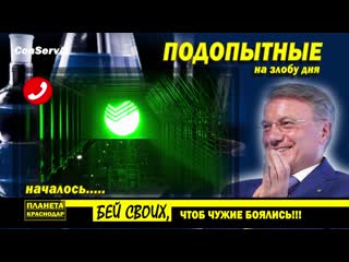porn началось принудительное вакцинирование hd