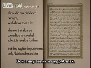 porn фитна испытание скандальный голландский фильм про исслам с русским переводом hd