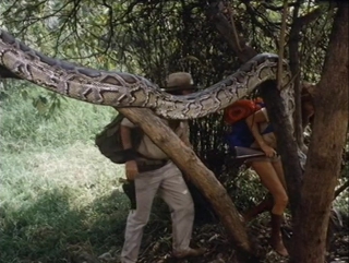porn the treasure of the amazon сокровища амазонки приключения реж рене кардона мл мексика сша 1985 г hd