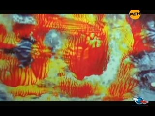 porn секретные территории 12 серия зеркало параллельные миры 31 03 2011 hd