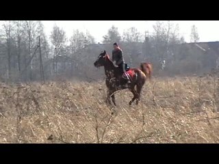 porn тренироа к скачкам пломба и ла коста настя и оля hd