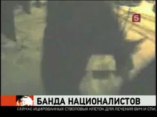 porn подробности задержания банды националистов в петербурге репортаж hd