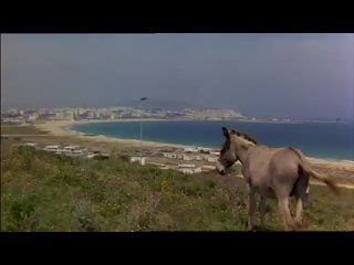 porn знак стрельца i skyttens tegn denmark1978 hd