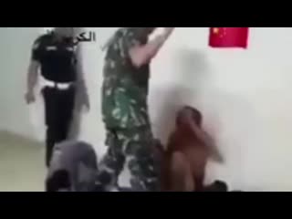 porn почему не любят мусульман в китае уйгуры в hd