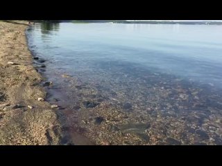 porn загородный поселоксунгуль на берегу озера синара 89022563610 hd