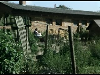 porn солнце сено эротика худ кфильм 1991 г hd