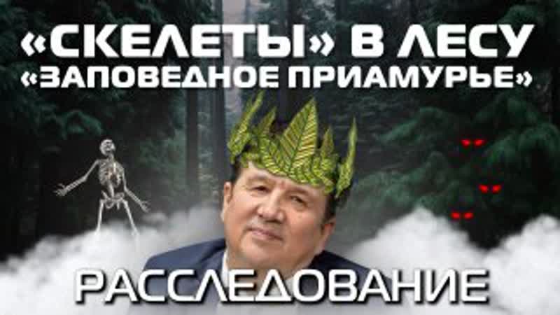 porn аврораинсайд скелеты в лесу заповедное приамурье hd