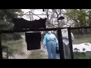 porn пришельцы требуют сдать тест на вирус силавправде hd