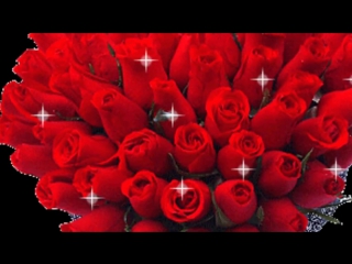 porn шикарное поздравление с днём рождения женщине букет из алых роз hd