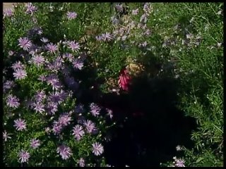 porn таня симферополь из шоу холостяк то что не попало в эфир hd