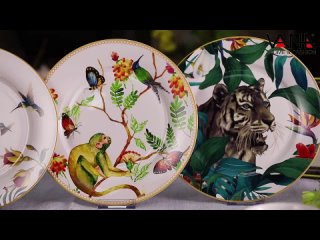porn vana 16 piece porcelain kitchen dinnerware set with plates bowls and mugs hd