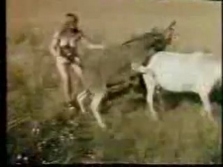 porn любительницы секса с ослами hd