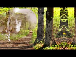 porn великолепная мелодия автор и исполнитель панин п а hd