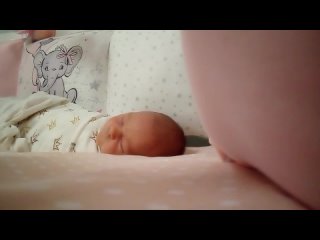 porn bitches filestorageemulated0dcimcameravid 20240401 222738 mp4 hd