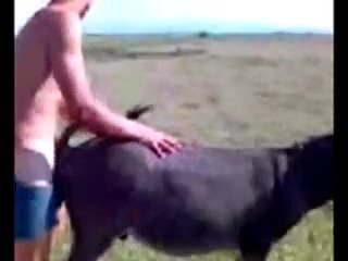 porn вот так мужик девственность потерял hd
