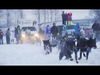 porn alaska journal the start lance mackey 4x iditarod champ competes in the willow 300 sled dog race hd