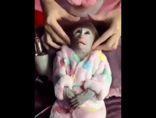 porn умейте расслабляться и получать удовольствие hd